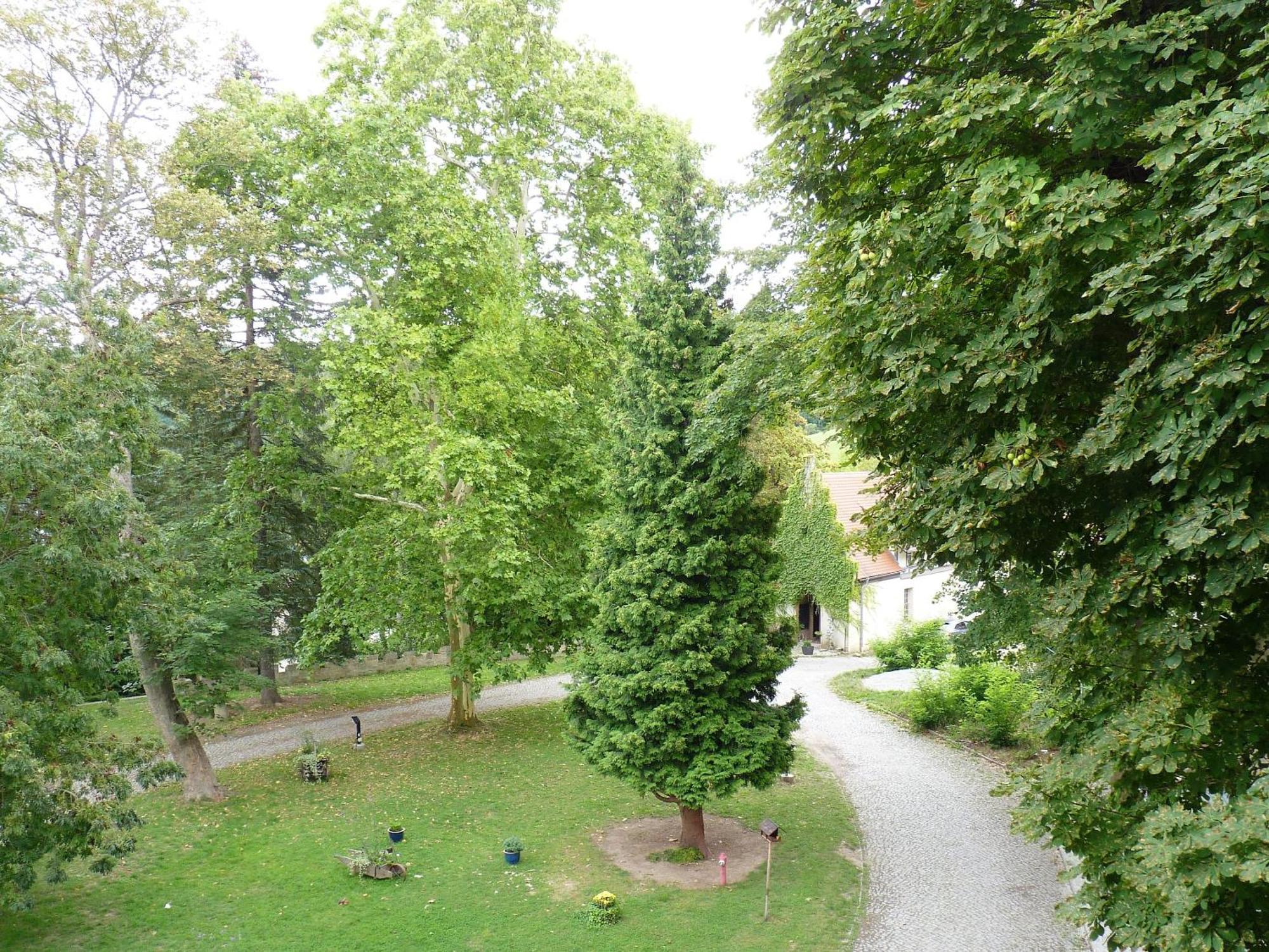 Hotel & Restaurant Schloss Weissenburg Uhlstädt Szoba fotó