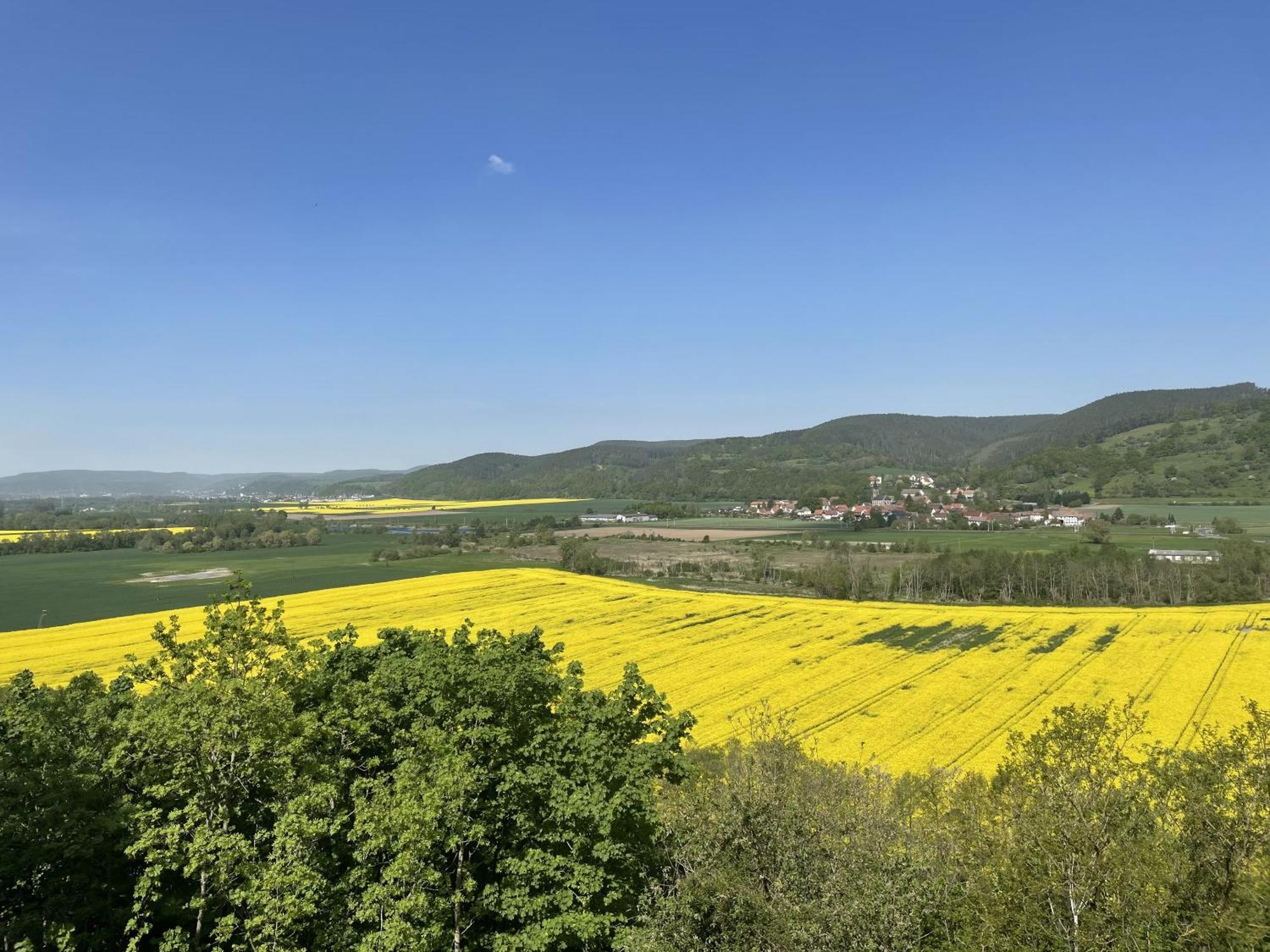 Hotel & Restaurant Schloss Weissenburg Uhlstädt Szoba fotó